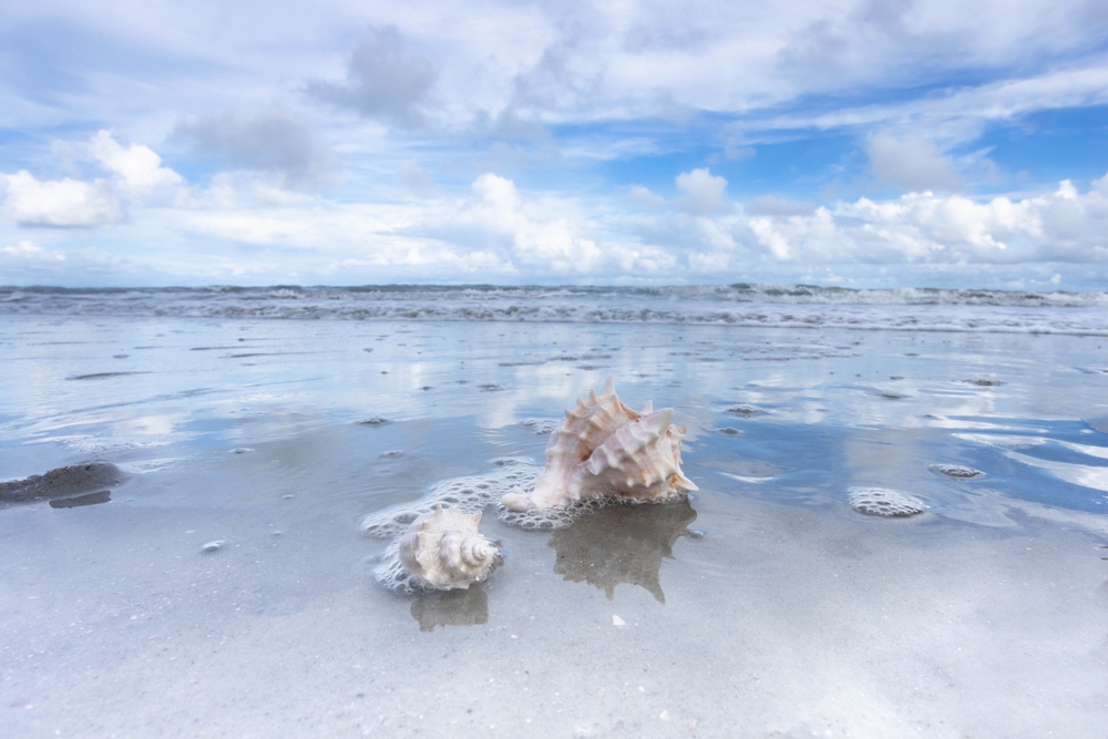 Pretty sand and water with seashells 