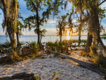 photo of a sunset at Fontainebleau state park beach