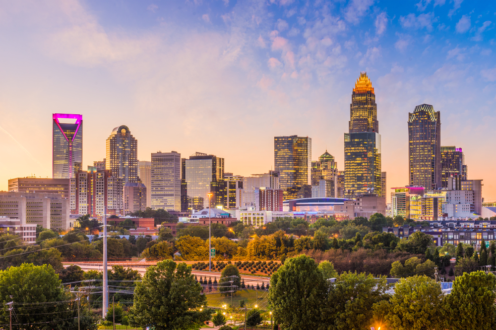 photo of a city skyline with trees in the foreground