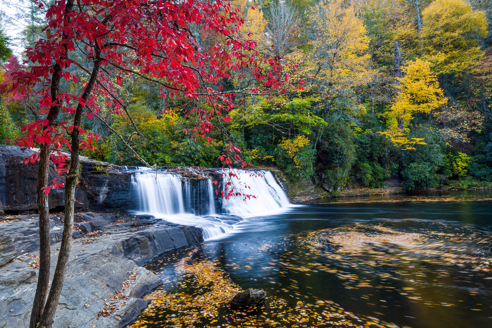 Photo of some of the fall colors in Hendersonville, one of the best mountain towns in NC. 