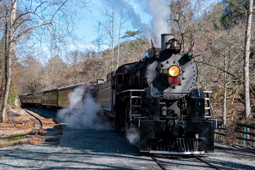 steam engine train on train tracks through the woods 