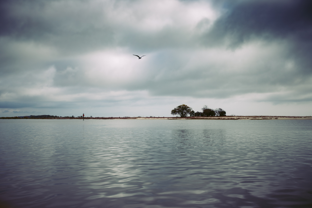 A seagull flies over the empty shores of Deer Island on an overcast day.