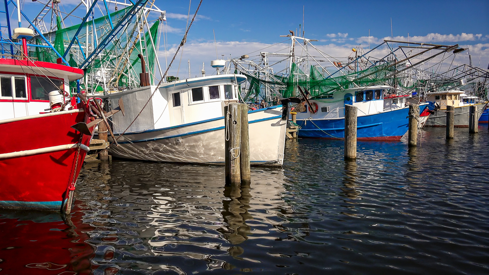 Red, white, and blue shrimping boats with nets sit in a marina in Biloxi, MS.