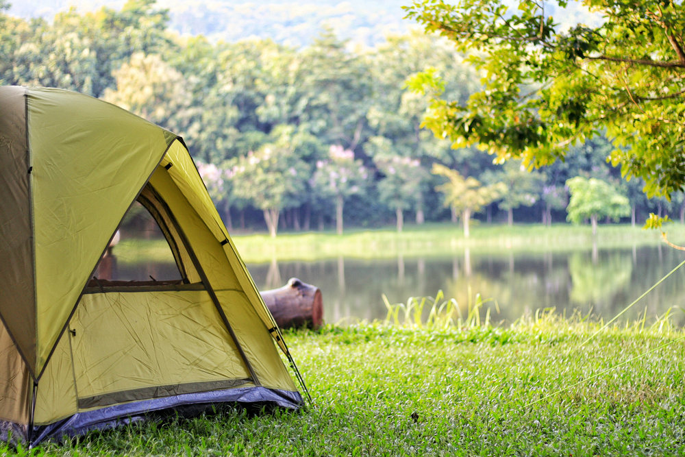 photo of a green tent in the grass along a river during the afternoon