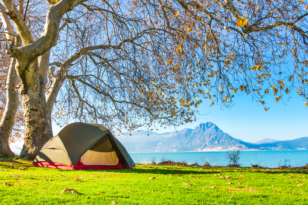 photo of a green tent under a tree with fall foliage, with a lake and mountain range in the background 
