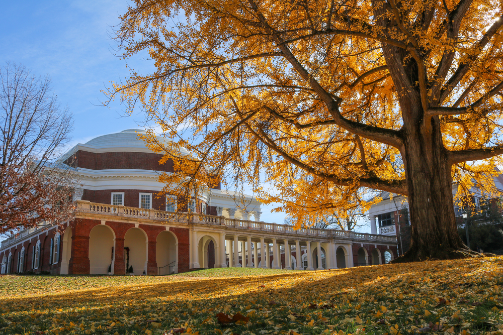 The University of Virginia in the fall.