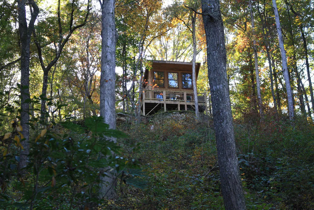 view of the coyote treehouse surrounded by lush greenery overlooking a creek