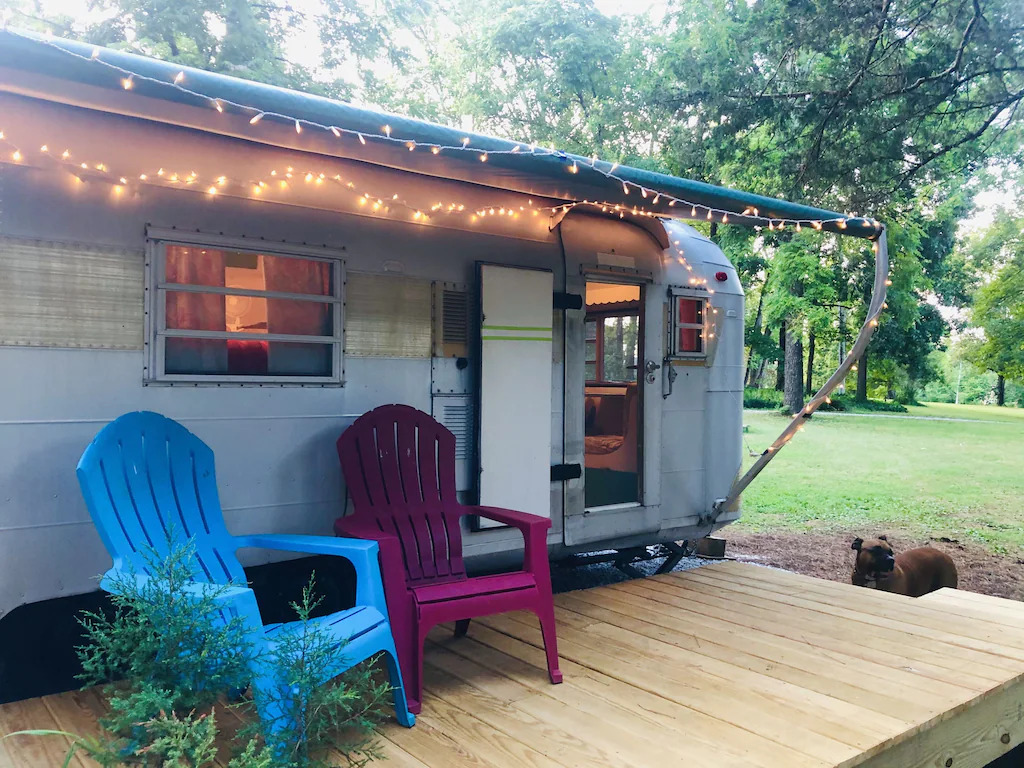 view of the deck and front of the airframe, with woodland and a cute dog 