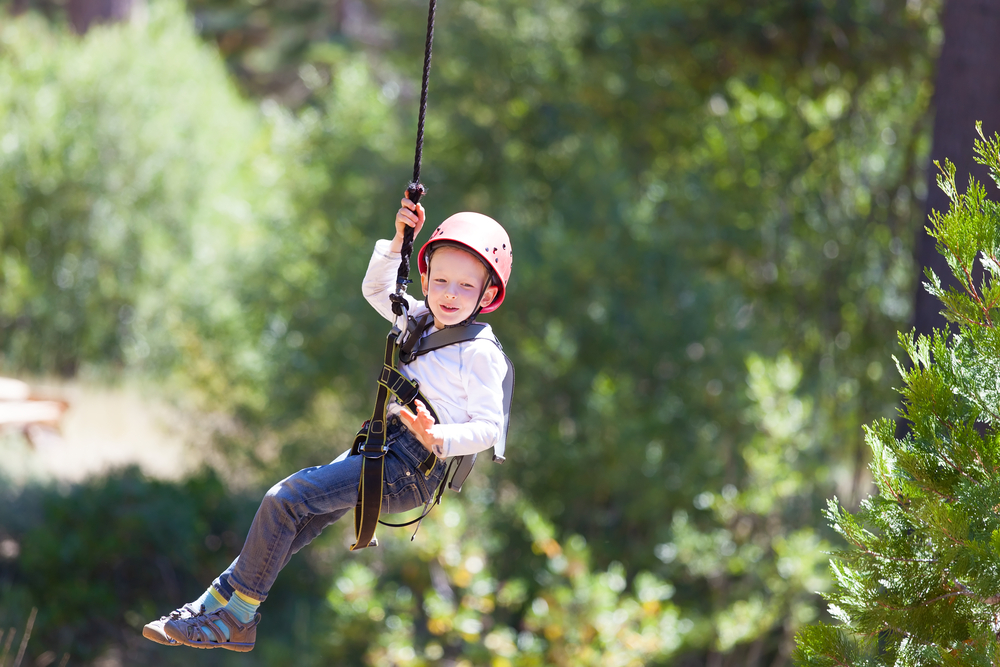 Young boy riding a zip line in the forest in Washington DC 