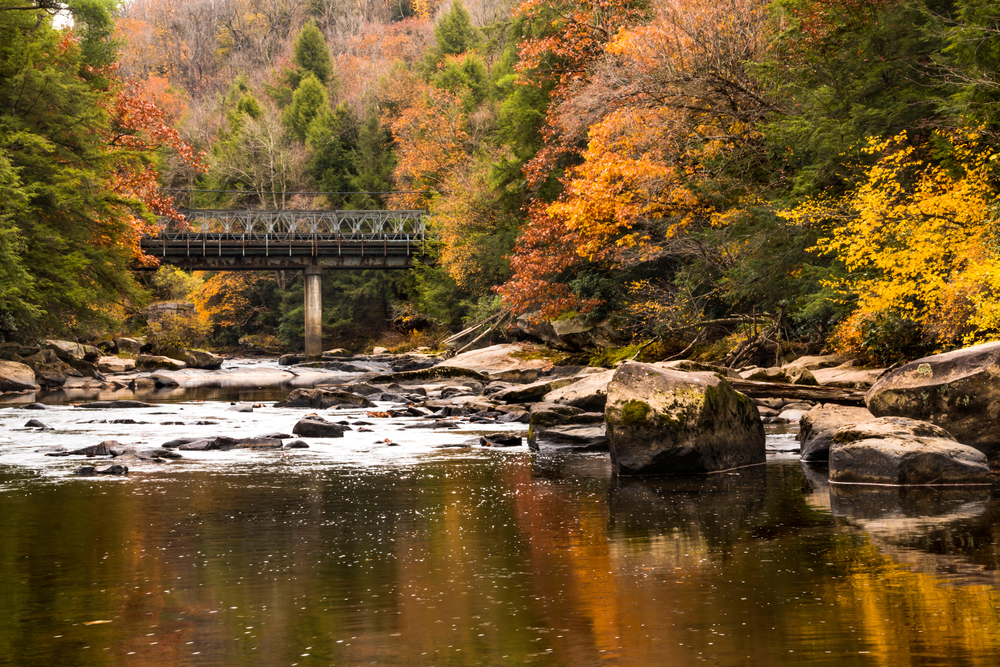 pretty national park in Maryland in the autumn. 