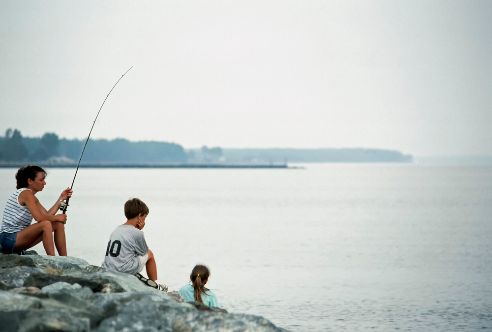 people fishing near the water 