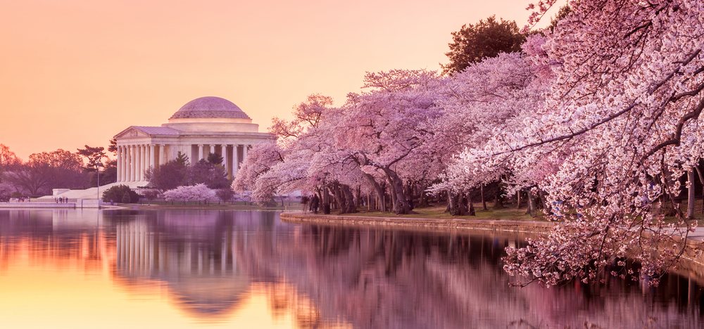  DC Washington D C 