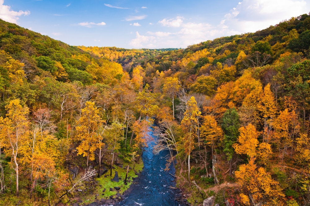 great aerial image of the fall leaves changing in the natural park of maryland!