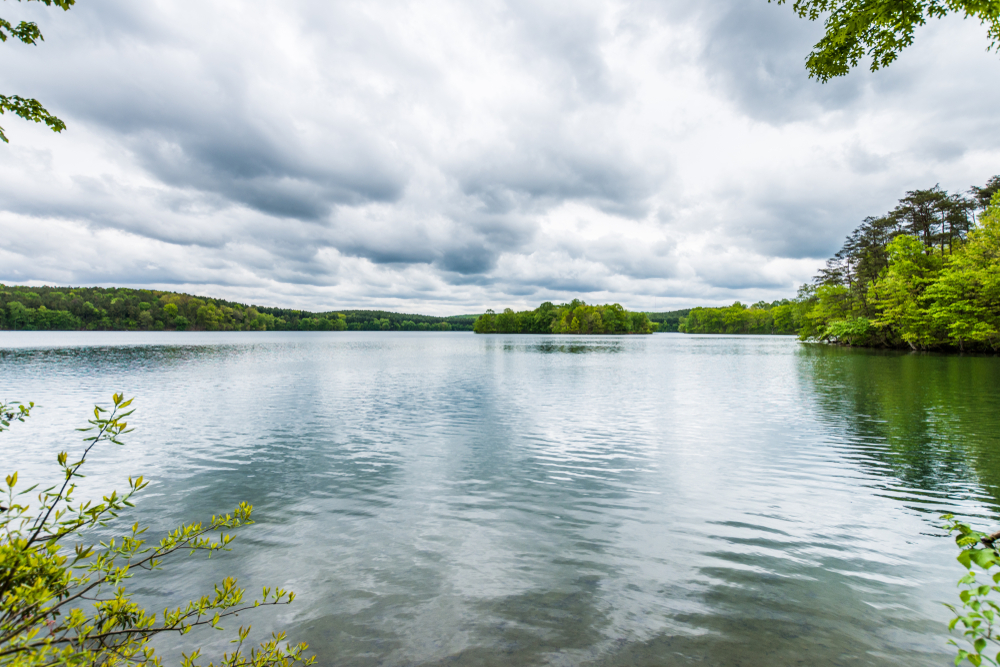 photo of a reservoir in the summer with trees all around it on a cloudy day