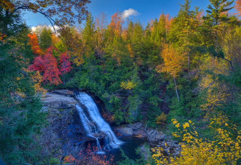 large waterfall falling into a pool of water in the woods, autumn trees all around with a clear sky