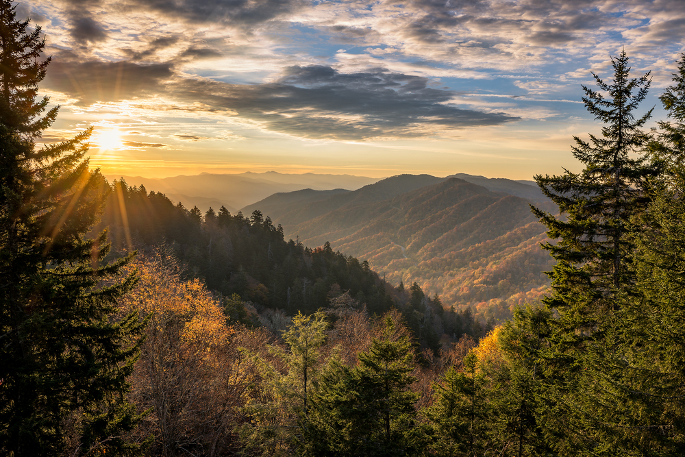 a great dusky photo of a sunset over lush trees in great smoky mountains national park!