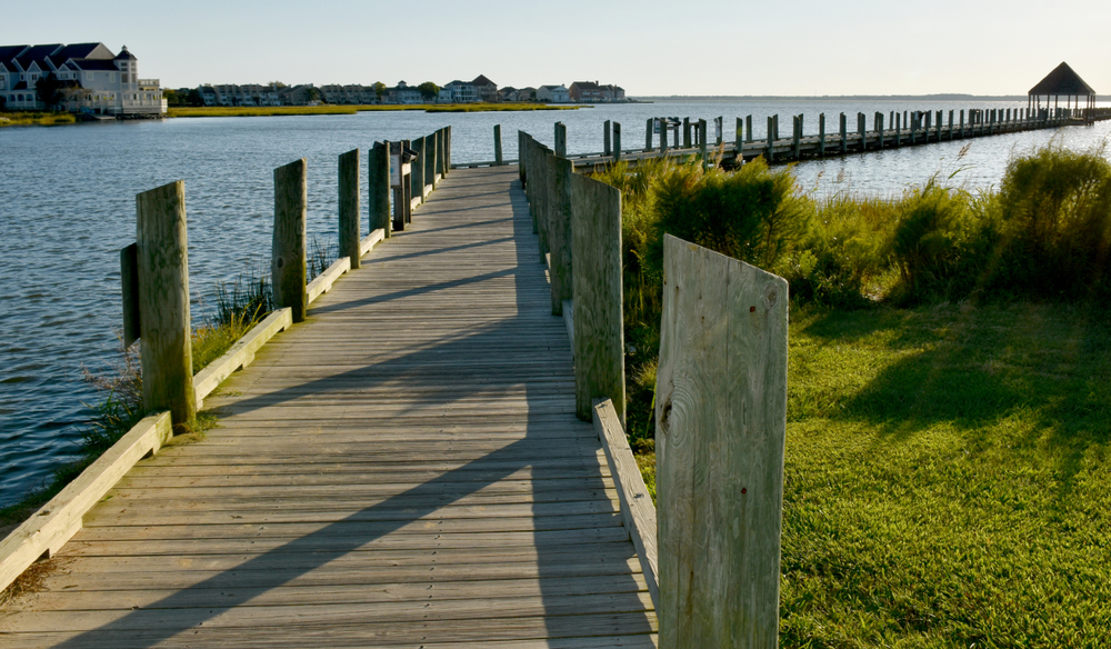 Wetlands Walkway in Northside Park showing the water and houses across the shore. 