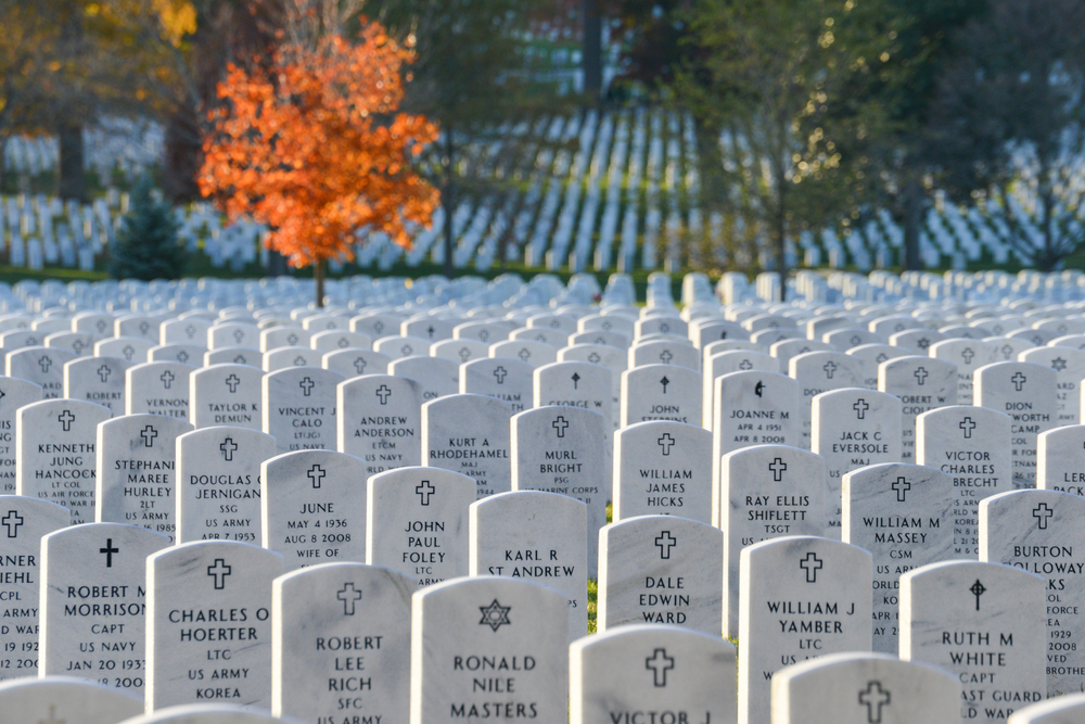 the Arlington cemetery with white grave stones and an orange tree