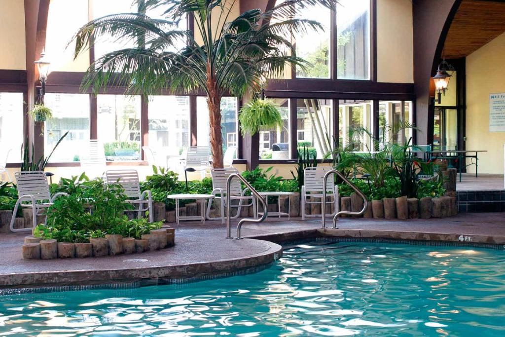 inside pool with plants and lounge chairs around the water