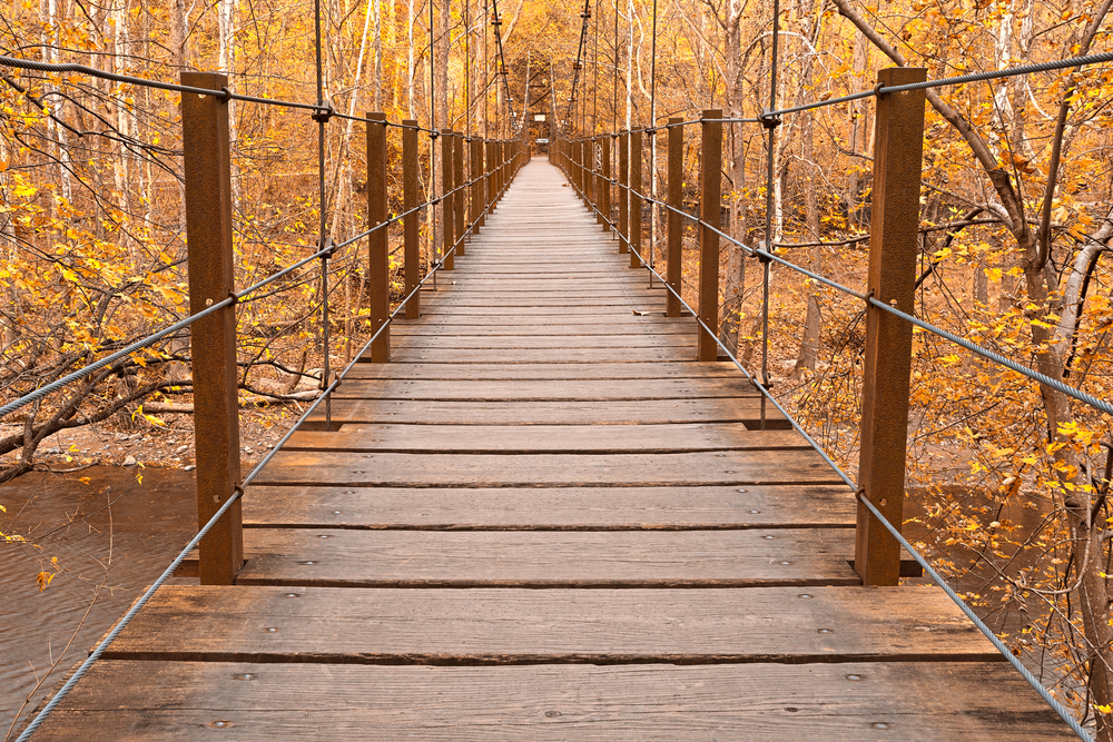 a suspension bridge with fall colors all around in the Patapsco Valley State Park