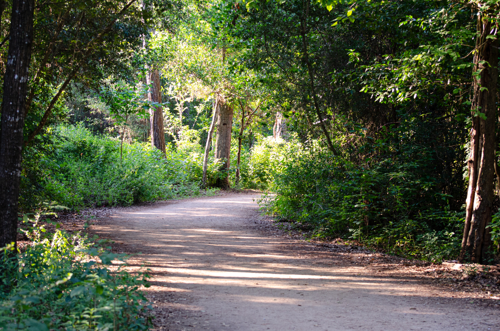 Houston Arboretum and Nature Centre walking trail