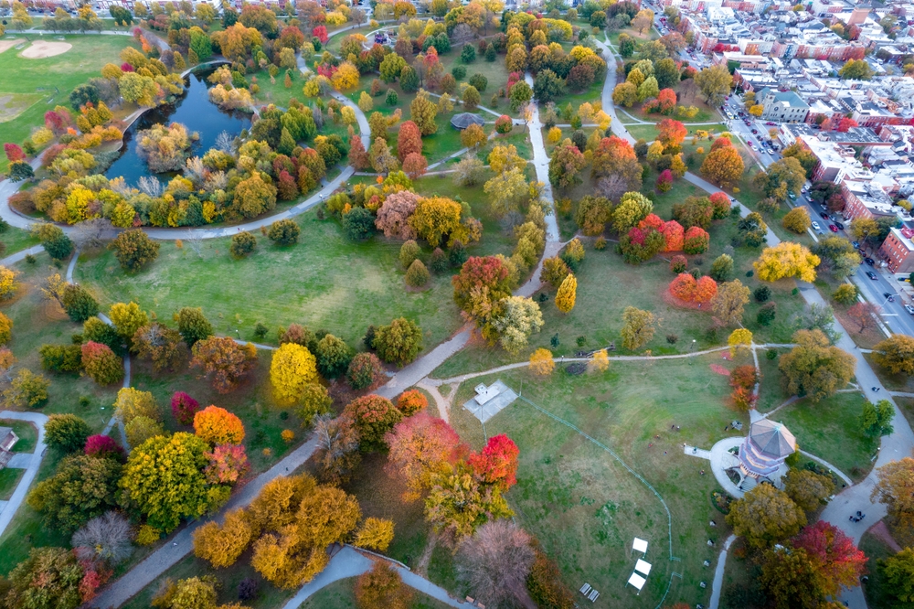 Baltimore is a must visit during fall. here is an Ariel shot of the pretty green, orange, yellow trees in a park 