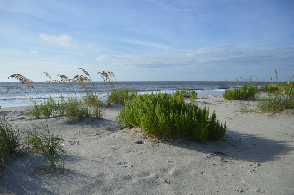 The pretty barrier beach in GA 