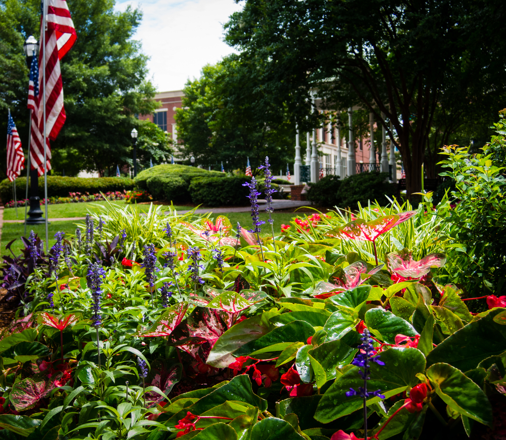 marietta square, one of the best things to do in marietta, flowers in foreground, flags flying on the left and a large building in the back 