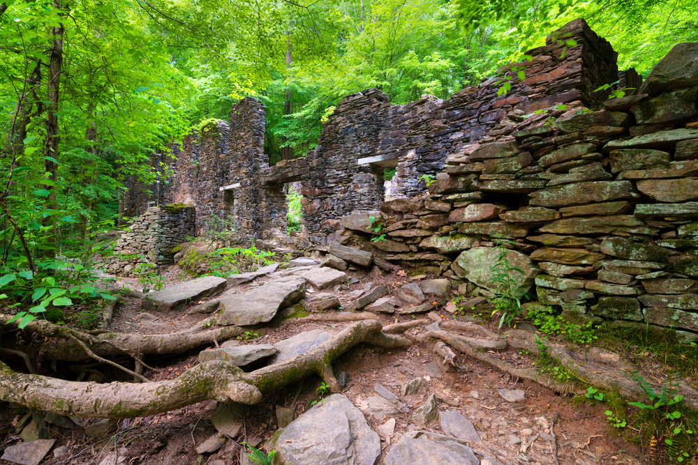 rock ruins of an old paper mill sit in the forest