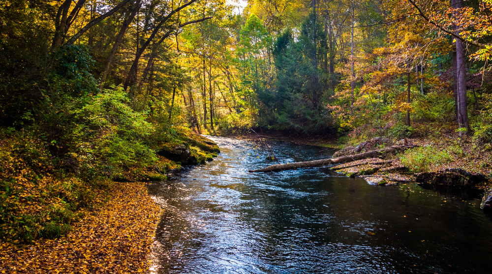 a pretty lake with fall foliage all around 