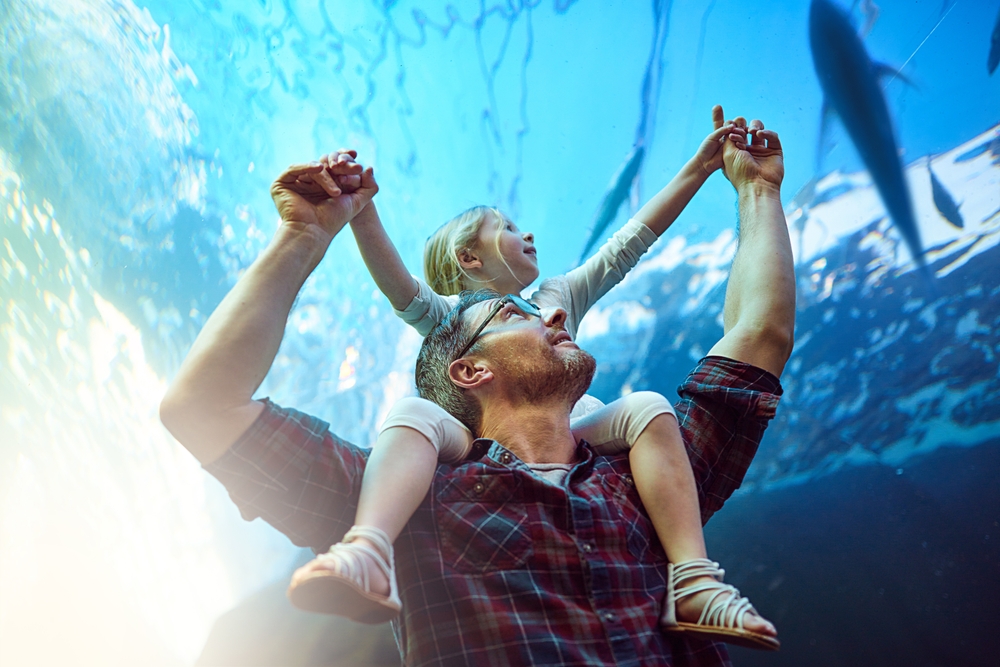 A father with his daughter on her shoulders underneath a shark display at the Dallas World Aquarium. 