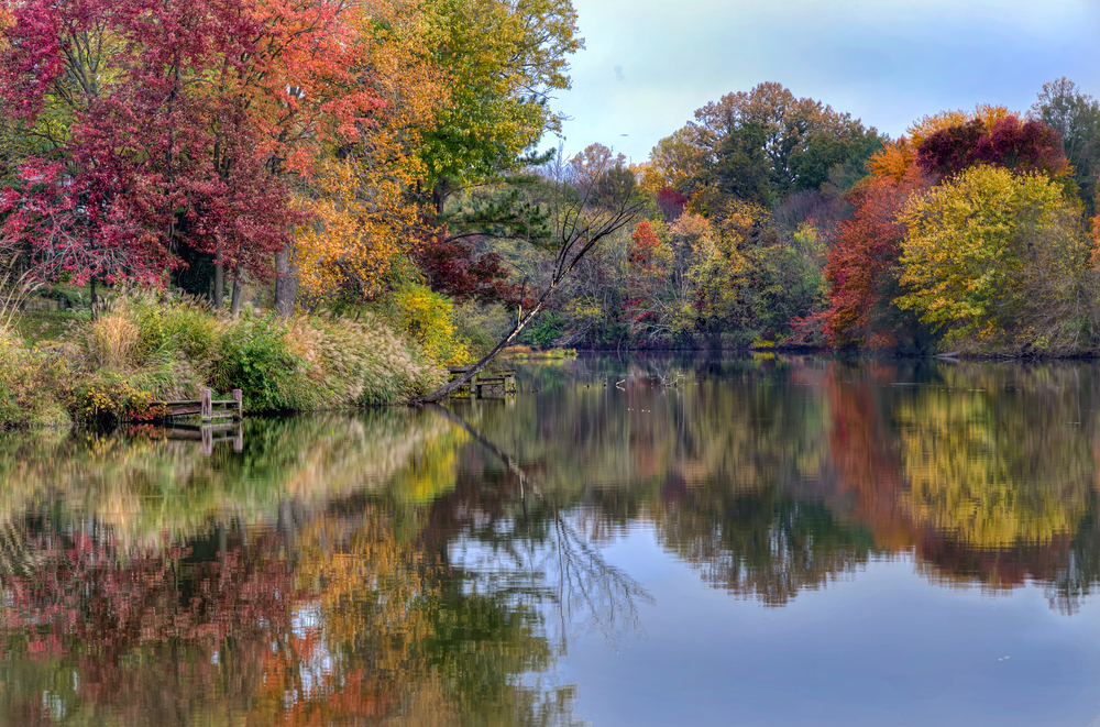 a big beautiful lake with the reflection of colorful trees with red, yellow, orange trees 