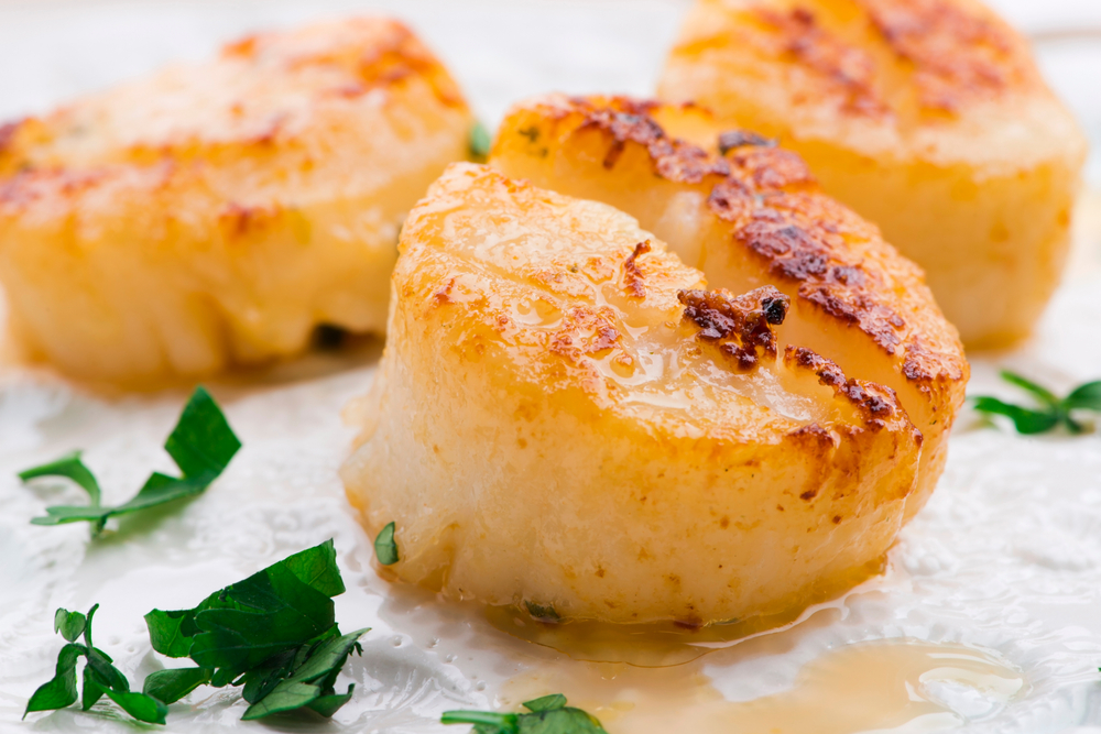 Pan-seared scallops sit on a white plate with green garnish, like those served at Alexander's, one of the best restaurants in Roanoke for fine dining.