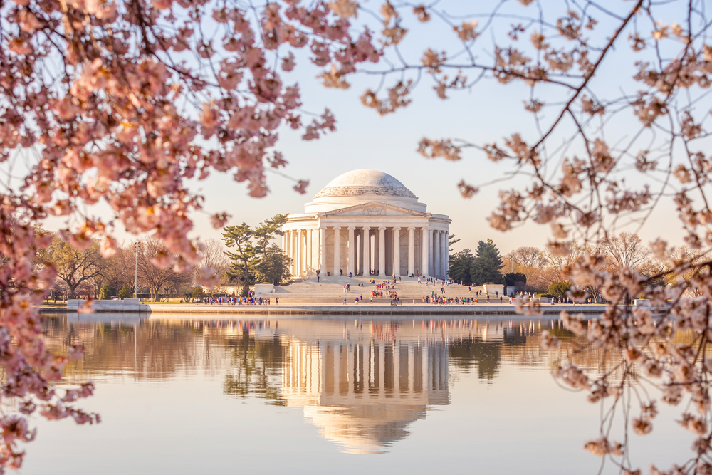 The Jefferson Memorial seen through cherry blossoms and across the water of the Tidal Basin.