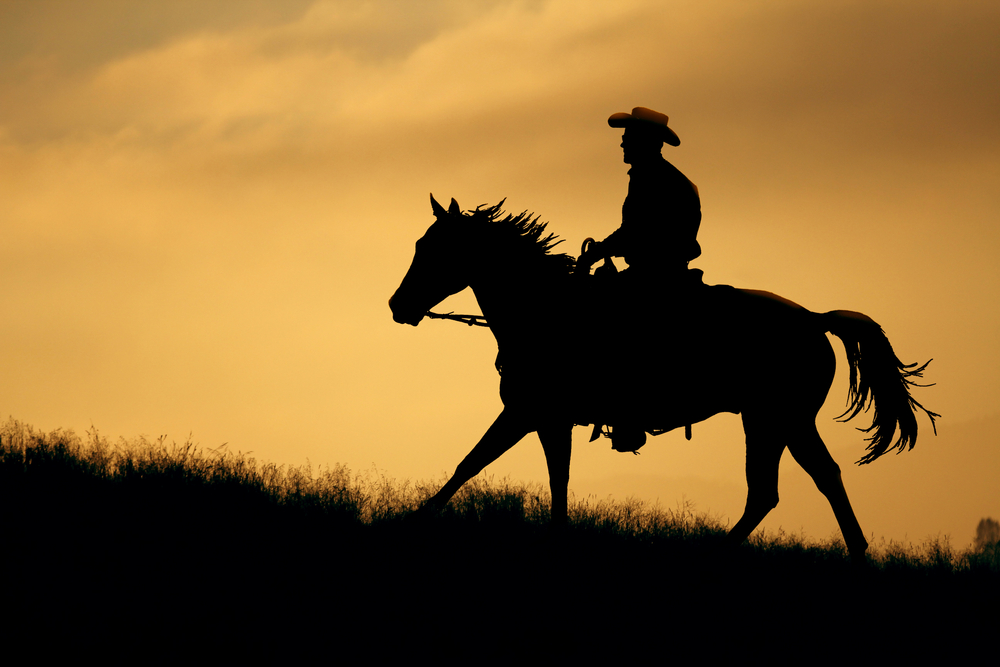 silhouette of a man wearing a cowboy hat riding a horse through the grass at sunset 