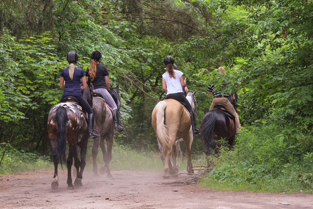 four people horseback riding in Georgia on a dirt road with trees on both sides of the road