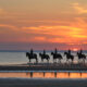 horses standing on a beach at sunset in georgia