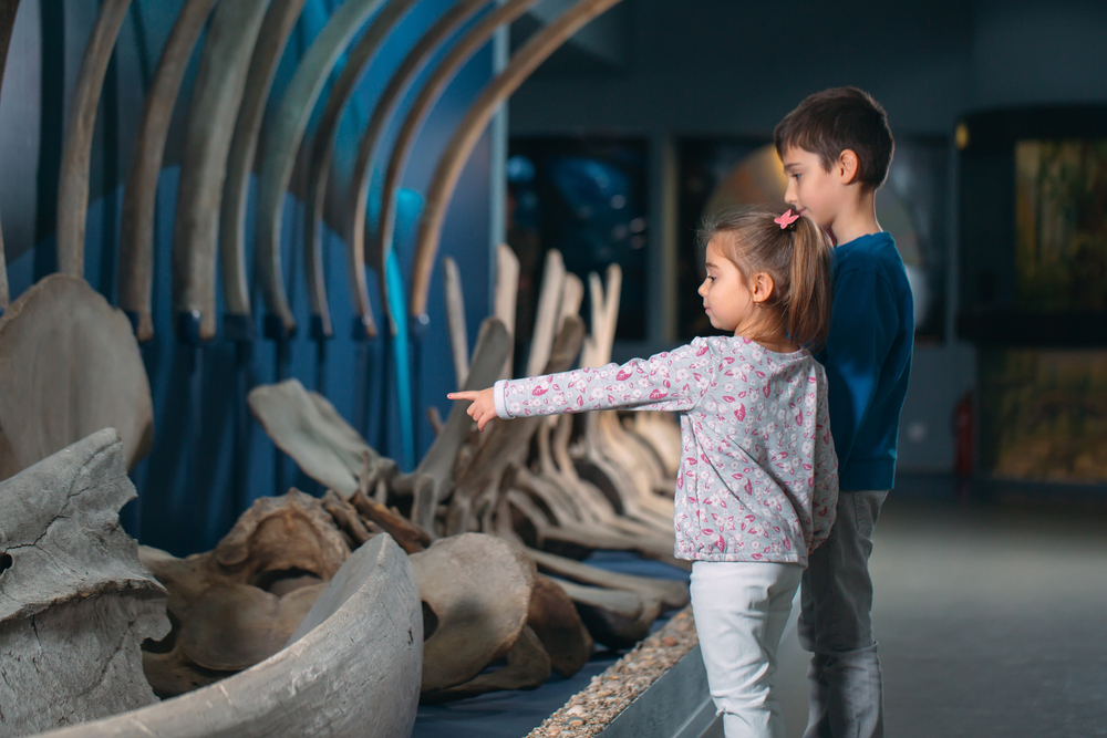 A young boy and girl looking at a dinosaur fossil at Perot Museum of Nature and Science.