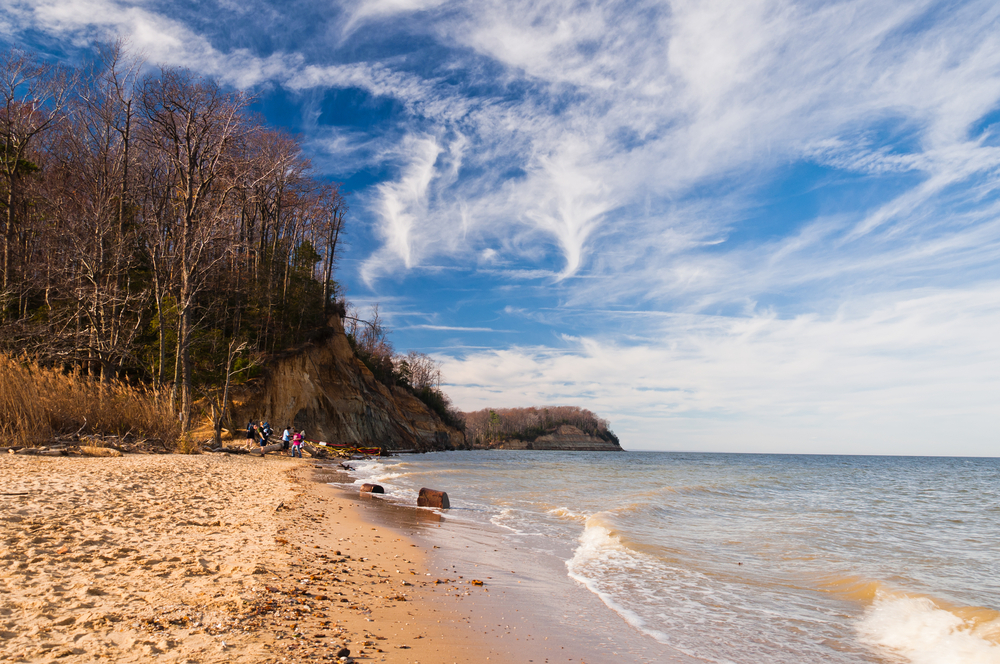 the Calvert Cliffs state park is always a nice place to visit on the Chesapeake Bay Area. 