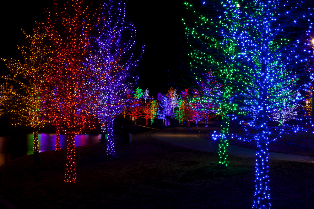 Trees in Dallas wrapped in lights for Christmas reflected in lake. 