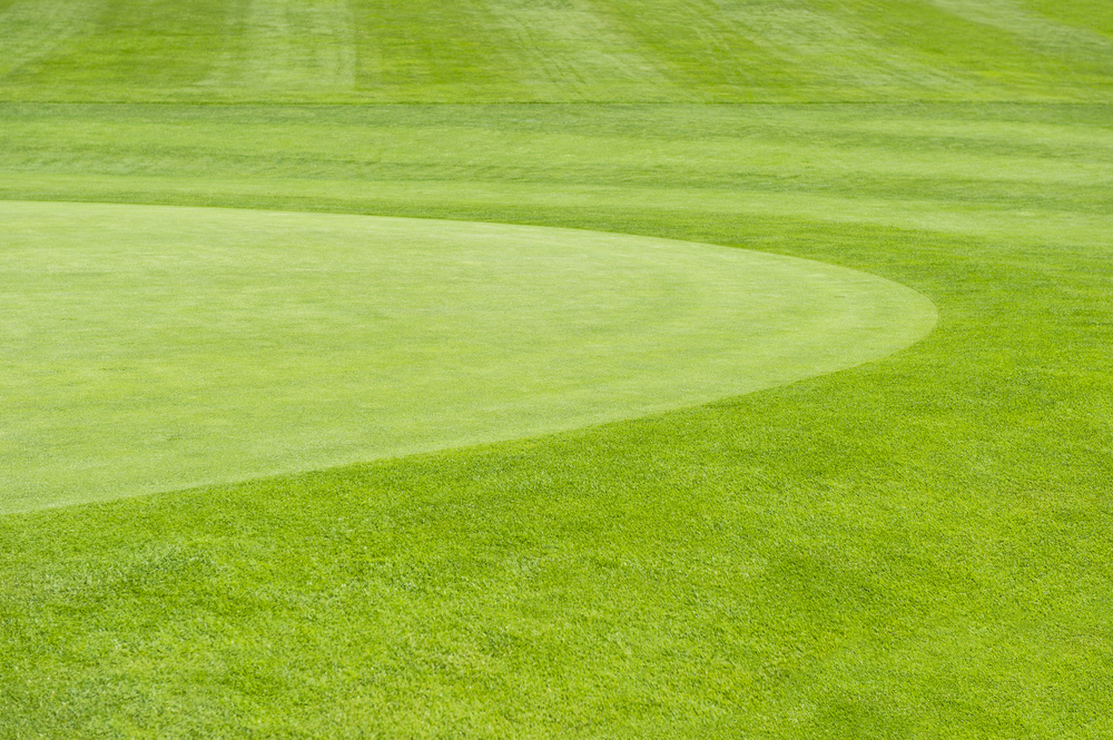 A circular form mowed into the green grass of a golf fairway.