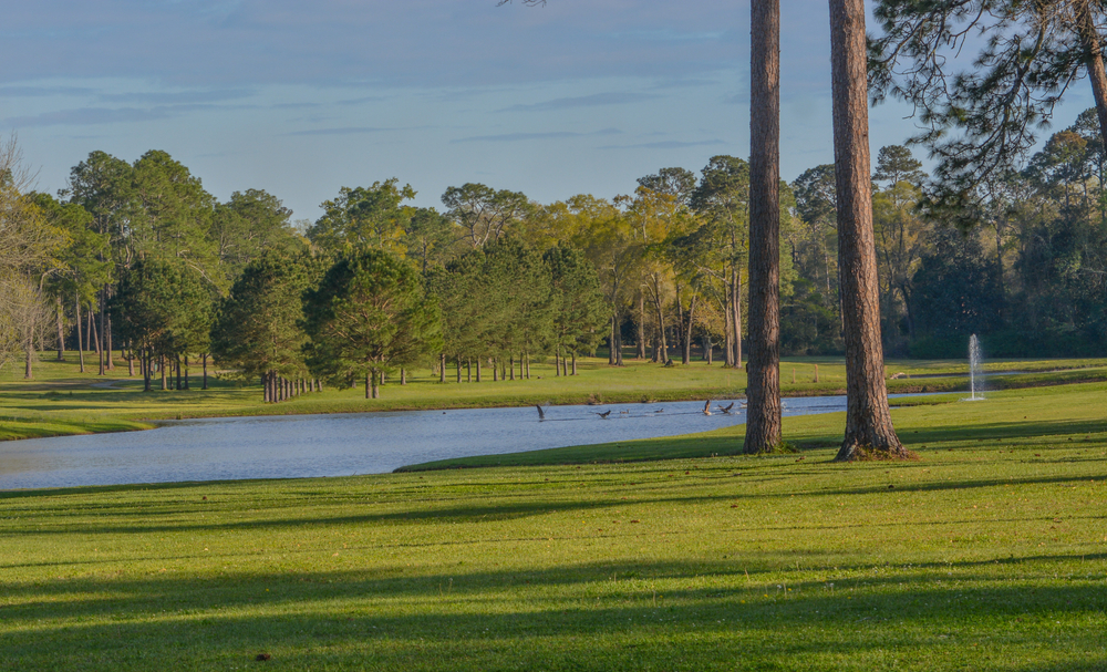 A golf fairway surrounded by Georgia pins and a water with birds