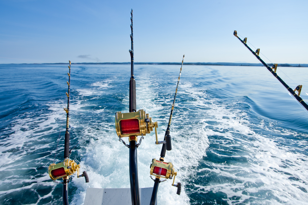 four fishing rods on end of boat in the water, fishing charter from mississippi