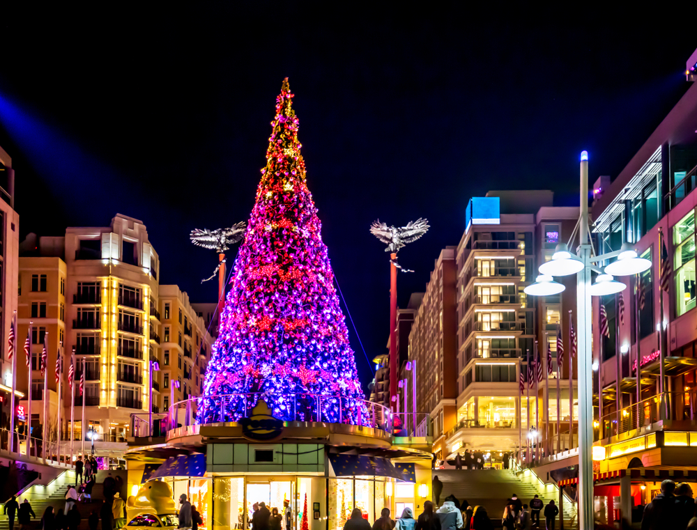 a big tree lighting in Baltimore town square. 