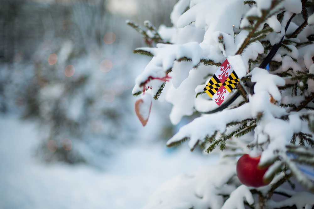 snow in maryland during christmas time 