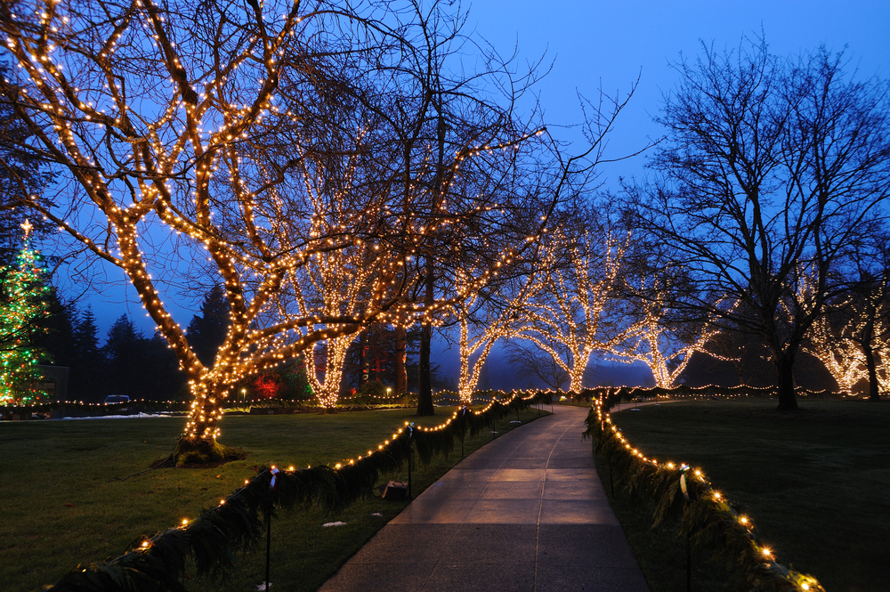 lights along a candle light neighborhood tour 