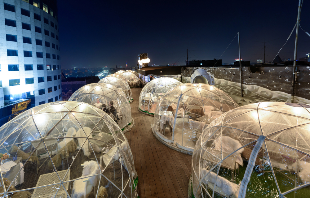 A series of personalized igloos sit on top of a rooftop bar and lounge, making this romantic camp out a perfect Christmas experience. 