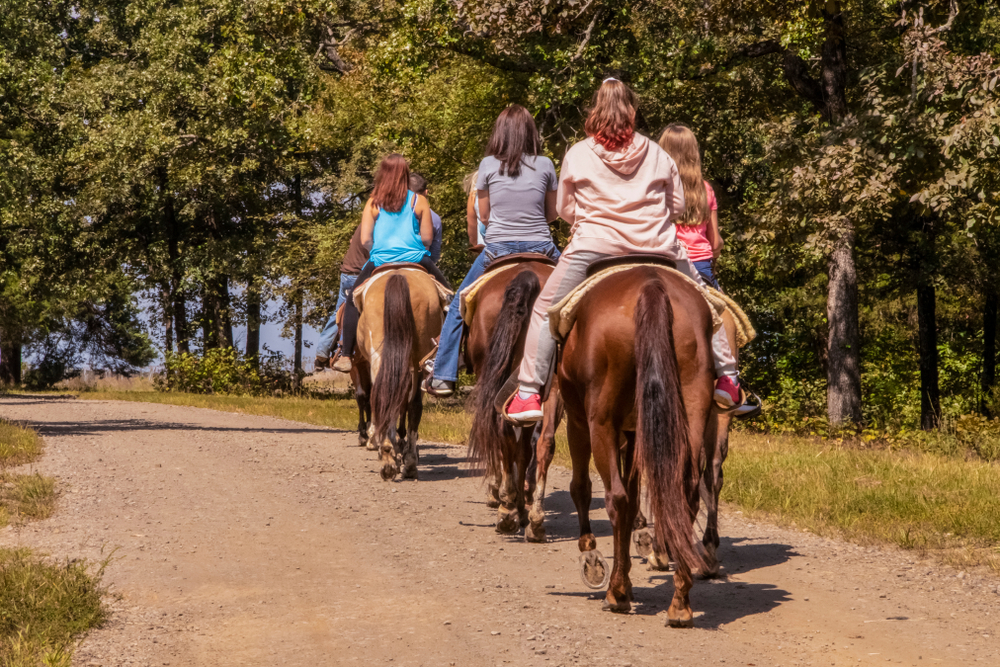 horseback riding in maryland, six people are riding horses on a wide trail with trees on one side, it is a sunny day 
