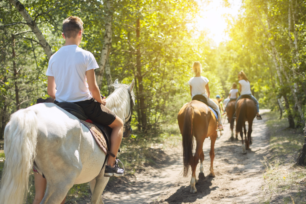 four people riding horses on a trail through the woods with the sun coming through the trees, horseback riding in maryland