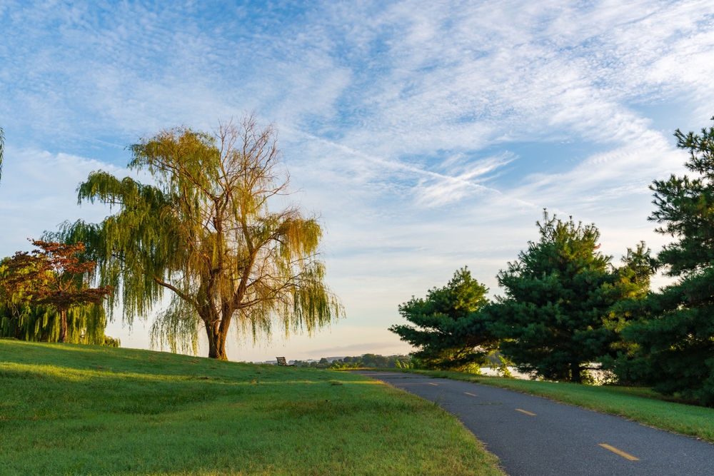 view of Potomac trail with a road on the right side and large tree on the left side during the evening with overcast sky 